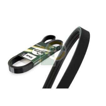 Courroie trapézoïdale à nervures BGA 3PK576E