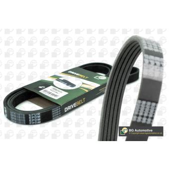 Courroie trapézoïdale à nervures BGA 5PK1210