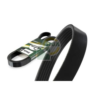 Courroie trapézoïdale à nervures BGA 6PK868E