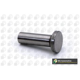 Poussoir de soupape BGA CF1497