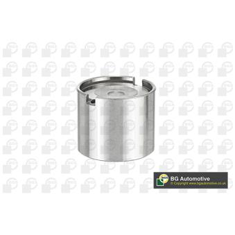 Poussoir de soupape BGA CF6896