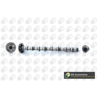 Arbre à came BGA CS0900