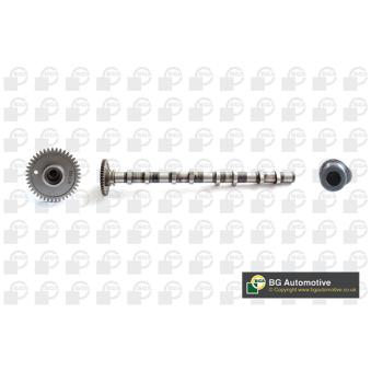 Arbre à came BGA CS0905