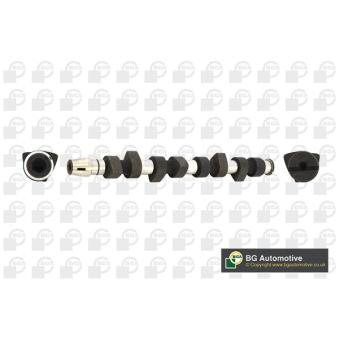 Arbre à came BGA CS4312