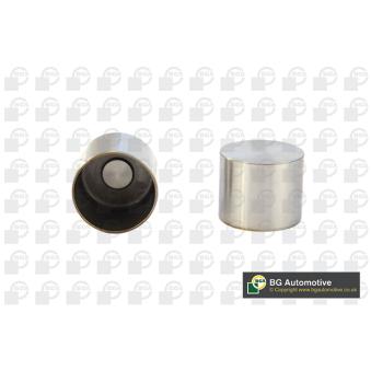 Poussoir de soupape BGA HL2317