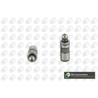 Poussoirs hydrauliques BGA