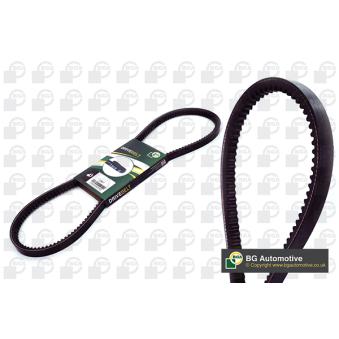 Courroie trapézoïdale BGA V13X850