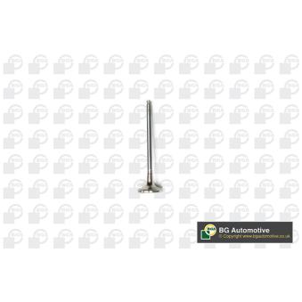 Soupape d'émission BGA V141081