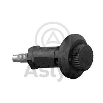 Éléments de fixation, cache moteur Aslyx