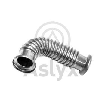 Tuyauterie, vanne EGR Aslyx