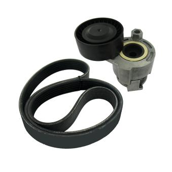 Jeu de courroies trapézoïdales à nervures MOTRIO 8660004386