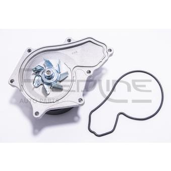 Pompe à eau, refroidissement du moteur RED-LINE