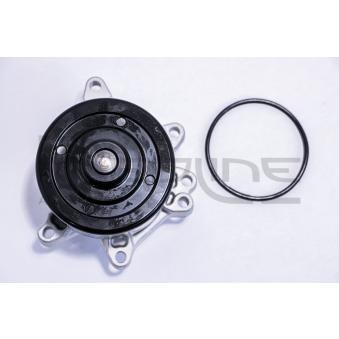 Pompe à eau, refroidissement du moteur RED-LINE