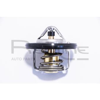 Thermostat d'eau RED-LINE