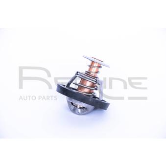 Thermostat d'eau RED-LINE 55HY005