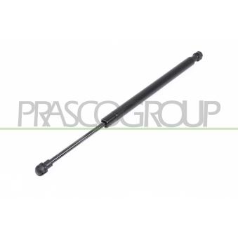 Vérin de hayon, de coffre PRASCO