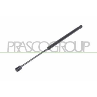 Vérin de hayon, de coffre PRASCO