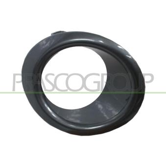 Cadre, projecteur antibrouillard PRASCO DS3501241
