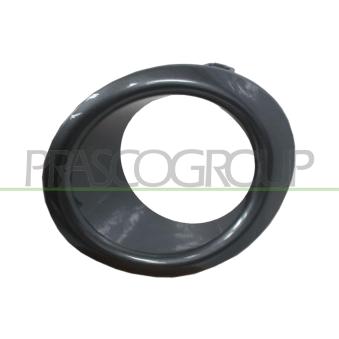 Cadre, projecteur antibrouillard PRASCO DS3501242
