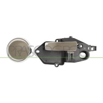 Poignet de porte, équipment intérieur avant gauche PRASCO FT0308406