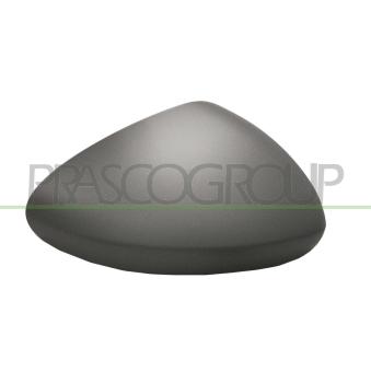Revêtement, rétroviseur extérieur PRASCO FT4487413