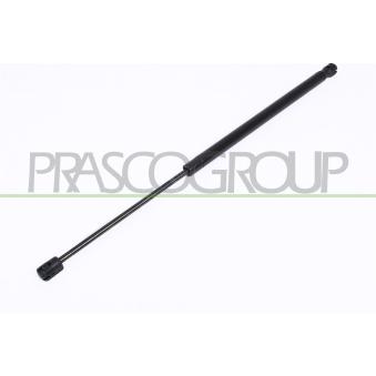 Vérin de hayon, de coffre PRASCO