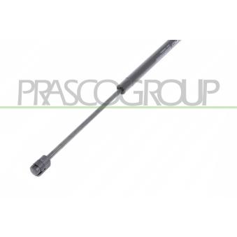 Vérin de hayon, de coffre PRASCO