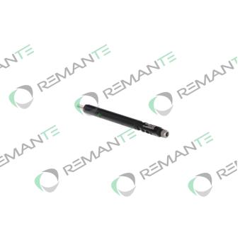 Injecteur REMANTE 002-003-000123R