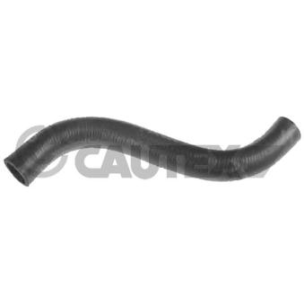 Durite de radiateur CAUTEX 016267