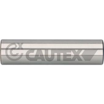 Suspension, jambe d'essieu arrière gauche CAUTEX 031265