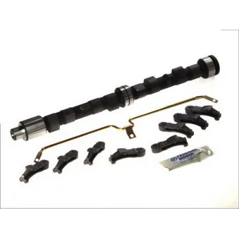 Jeu d'arbres à came AE