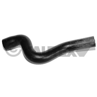 Durite de radiateur CAUTEX