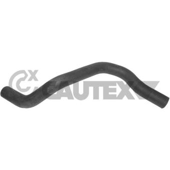 Durite de radiateur CAUTEX 036114
