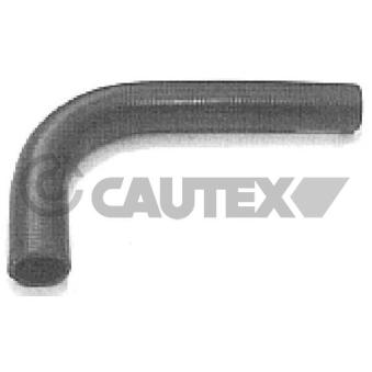 Durite de radiateur CAUTEX 036190