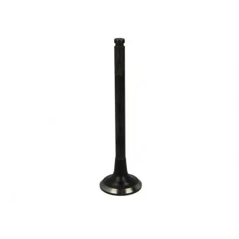 Soupape d'échappement AE V91293