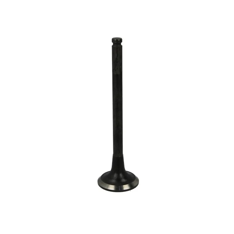 Soupape d'échappement AE V91293