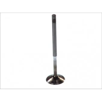 Soupape d'admission AE V94081