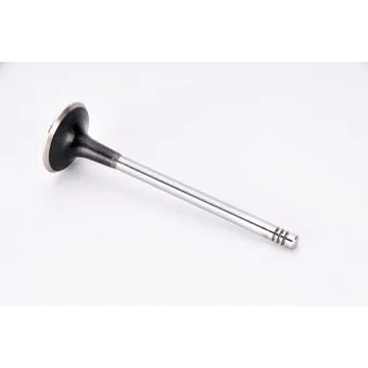 Soupape d'échappement AE V94083