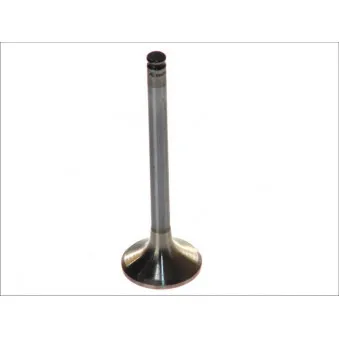 Soupape d'échappement AE V94254