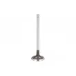 Soupape d'admission AE V94599 - Visuel 1