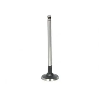 Soupape d'échappement AE V94609