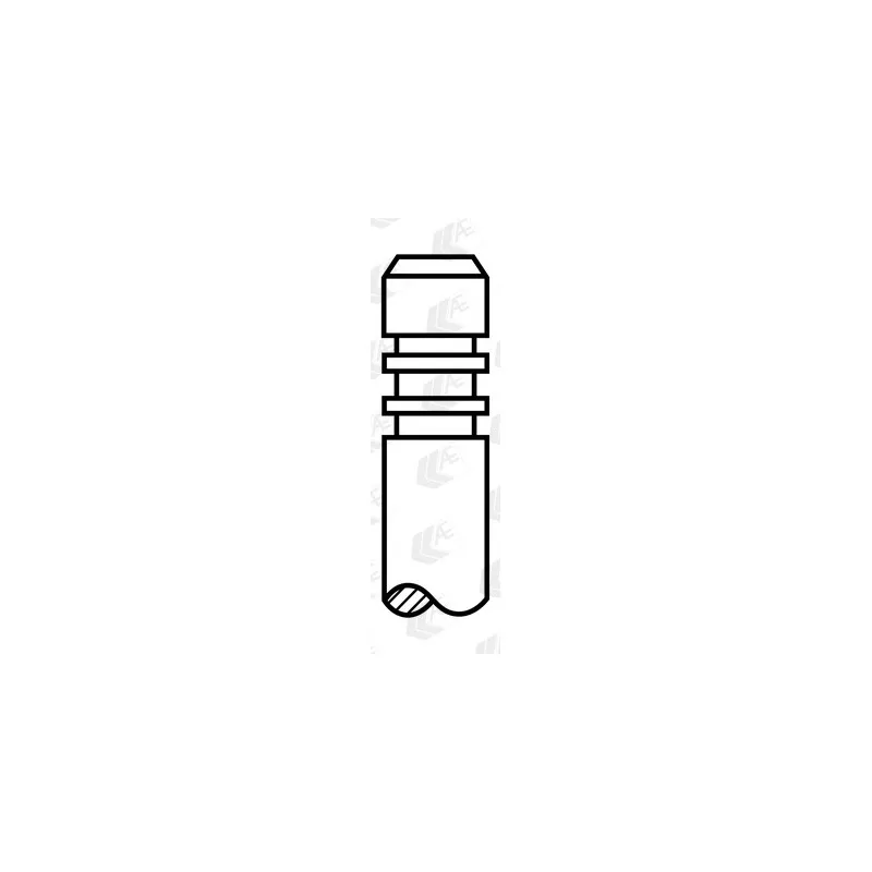 Soupape d'échappement AE V98019