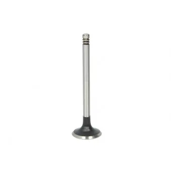 Soupape d'échappement AE V98097