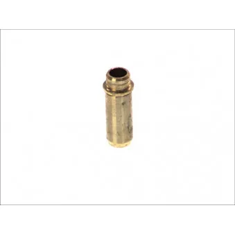 Guide de soupape AE VAG92061B