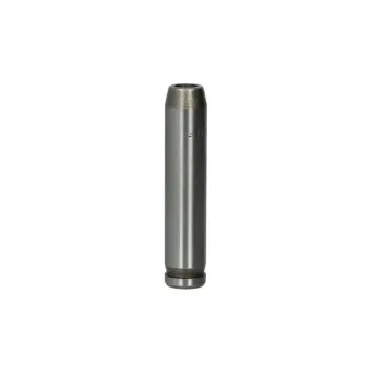 Guide de soupape AE VAG96064