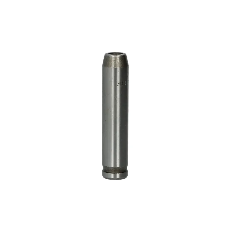 Guide de soupape AE VAG96064