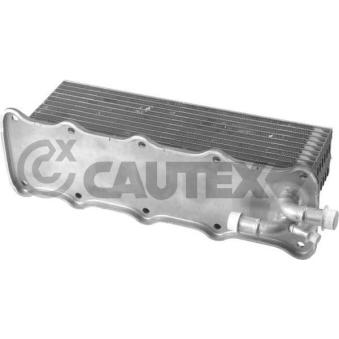 Intercooler, échangeur CAUTEX 760765