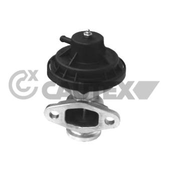 Vanne EGR CAUTEX 770110