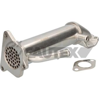Radiateur, réaspiration des gaz d'échappement CAUTEX 770404