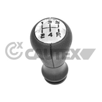 Pommeau CAUTEX 770518